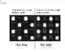 Fig. 06 - Light emitting device and method of manufacturing cover used in the same