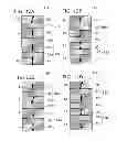 Fig. 09 - Nonvolatile memory device