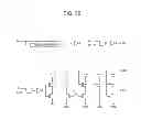 Fig. 31 - SEMICONDUCTOR DEVICE HAVING HIERARCHICAL BIT LINE STRUCTURE