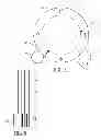 Fig. 05 - Clocks with uniquely driven elements which are interpreted by the use of traditional clock interpretation methods