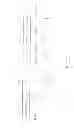 Fig. 04 - Asymmetric TDD in flexible use spectrum