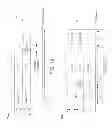 Fig. 08 - Asymmetric TDD in flexible use spectrum