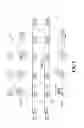 Fig. 09 - Method and apparatus for transmitting and receiving broadcast channel in cellular communication system
