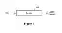 Fig. 02 - Apparatuses and methods for optimizing rate-distortion of syntax elements