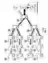 Fig. 02 - Synchronization distribution in microwave backhaul networks