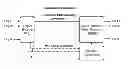 Fig. 01 - SYSTEMS, METHODS, APPARATUS, AND COMPUTER-READABLE MEDIA FOR THREE-DIMENSIONAL AUDIO CODING USING BASIS FUNCTION COEFFICIENTS