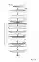 Fig. 05 - Watermarking of digital video