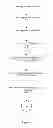 Fig. 10 - Watermarking of digital video