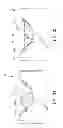 Fig. 04 - Biometric authentication device and method