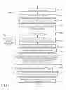 Fig. 09 - DYNAMIC LOCAL REGISTRATION SYSTEM AND METHOD