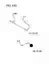 Fig. 22 - X-ray CT apparatus