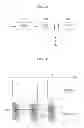 Fig. 22 - SIGNAL PROCESSING APPARATUS, SIGNAL PROCESSING METHOD, OUTPUT APPARATUS, OUTPUT METHOD, AND PROGRAM