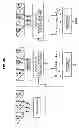 Fig. 44 - Signal processing apparatus, signal processing method, output apparatus, output method, and program for learning and restoring signals with sparse coefficients