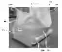 Fig. 01 - PALLETLESS BULK BAG