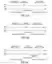 Fig. 09 - Method of capturing moving picture and apparatus for reproducing moving picture