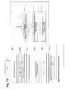 Fig. 16 - COHERENT OPTICAL RECEIVER AND LOCAL LIGHT SWITCHING METHOD
