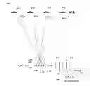 Fig. 01 - Light receiver position determination