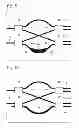 Fig. 05 - OPTICAL MIXER, OPTICAL RECEIVER, OPTICAL MIXING METHOD AND PRODUCTION METHOD FOR OPTICAL MIXER