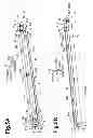 Fig. 08 - Developing cartridges with fixed protrusions and manufacturing method thereof