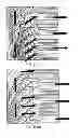 Fig. 06 - Gas turbine engine component