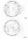 Fig. 05 - Vertical Axis Wind Turbine