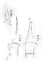 Fig. 02 - Wind turbine rotor