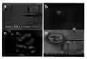 Fig. 01 - Conjugated polyelectrolyte capsules: light activated antimicrobials