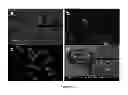 Fig. 02 - Conjugated polyelectrolyte capsules: light activated antimicrobials
