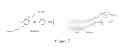 Fig. 03 - Conjugated polyelectrolyte capsules: light activated antimicrobials