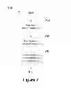 Fig. 06 - Dual vessel reactor