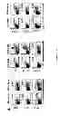 Fig. 09 - Method for imaging a site of arthritis in an animal