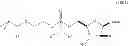 Fig. 02 - Esters and malonates of SATE prodrugs