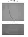 Fig. 167 - GOOD HEALTHY CELLS FOUND IN PROTEINS, THEIR APPLICATIONS, AND PROCESS OF MAKING A MEDIUM TO HARVEST THE CELLS