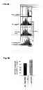 Fig. 07 - METHOD FOR EXPANDING CD4+CD25+T REGULATOR CELLS
