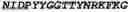 Fig. 30 - CD37 IMMUNOTHERAPEUTIC AND COMBINATION WITH BIFUNCTIONAL CHEMOTHERAPEUTIC THEREOF