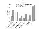 Fig. 09 - Optimized antibodies that target CD19