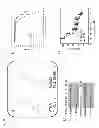 Fig. 16 - Methods and compositions for the treatment of proliferative disorders