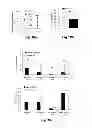 Fig. 09 - AGENTS AND METHODS FOR MODULATING MACROPHAGE INHIBITORY CYTOKINE (MIC-1) ACTIVITY