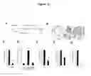 Fig. 32 - Methods for treating castration resistant prostate cancer and metastasis by reducing B-cell number and/or function
