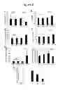 Fig. 06 - METHODS AND COMPOSITONS FOR REGULATING IRON HOMEOSTASIS BY MODULATION OF BMP-6