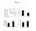Fig. 07 - METHODS AND COMPOSITONS FOR REGULATING IRON HOMEOSTASIS BY MODULATION OF BMP-6