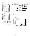 Fig. 04 - Antibodies directed against ICOS and uses thereof