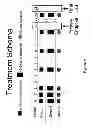 Fig. 03 - METHOD FOR TREATING INTRAOCULAR NEOVASCULAR DISEASES