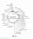 Fig. 08 - Human TIMP-1 Antibodies
