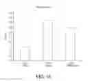 Fig. 20 - Human TIMP-1 Antibodies