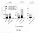 Fig. 07 - Vaccines for HSV-2