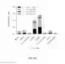 Fig. 08 - Vaccines for HSV-2