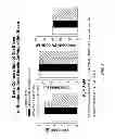 Fig. 06 - Ghrelin mimetic polypeptide hapten immunoconjugates having improved solubility and immunogenicity and methods of use thereof