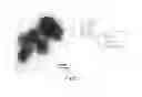 Fig. 06 - Vaccine adjuvants from self-assembling peptides
