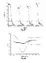 Fig. 12 - Vaccine adjuvants from self-assembling peptides